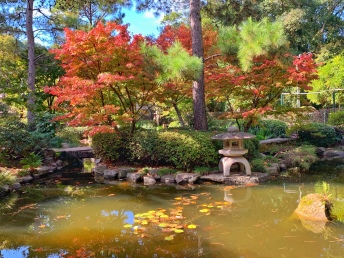 Jardin Japones (Japanese Garden)